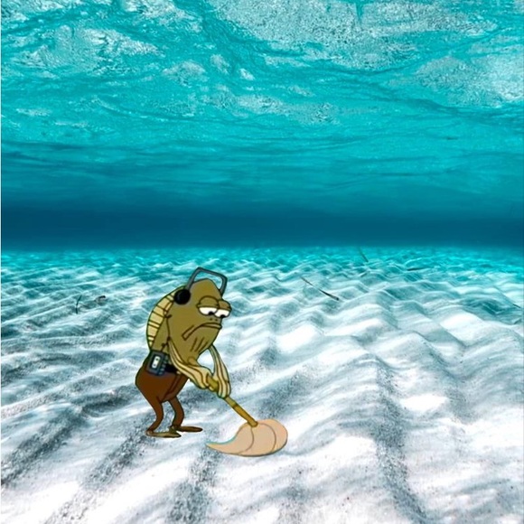 Meet your Posher, Taylor - Picture 2 of 4